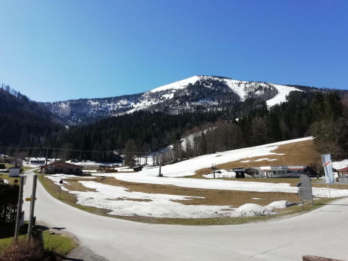 Ferienwohnung Bergerlebnis Oetscher ลัคเคินฮอฟ ภายนอก รูปภาพ
